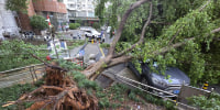 China Typhoon Dolphin aftermath