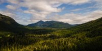 The Tongass National Forest