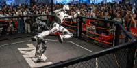 Beijing Holds World Robot Conference
