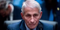Anthony Fauci, former director of the National Institute of Allergy and Infectious Diseases, during a hearing.