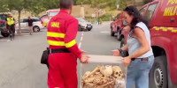 Wildfire forces removal of Aragon kings' remains from monastery in Spain