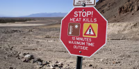 A red sign reading STOP! HEAT KILLS in a desert landscape.