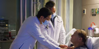 Massachusetts General Hospital Kidney Xenotransplant.