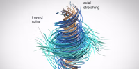 A snapshot of local incompressible motion. Orange marks faster angular rotation; teal marks slower rotation. Circulating speed also depends on radius. The trajectories show inward spiraling and axial stretching.