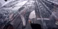 Wet Weather Hits Tokyo
