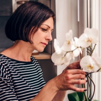 How to care for orchids, white orchid, orchid care