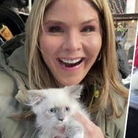 Jenna Bush Hager new cat, Mango Mellow