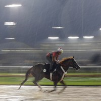jockey on horse in rain at Churchill Downs.