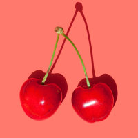 Cherry fruit isolated on red background
