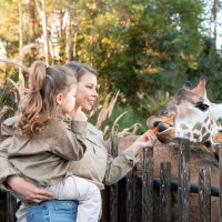 Bindi Irwin, Grace.