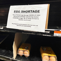 National Egg Shortage due to Bird Flu, sign on empty shelf at supermarket, Queens, New York