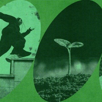 Green background with oval cutouts of three green-tinted images; from left to right: person running up stairs, a small plant growing up from the soil, and a person laying in the grass, smiling.