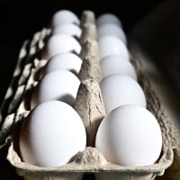 A resurgence of avian flu, which first struck the United States in 2022, is hitting chicken farms hard, sending egg prices soaring and rattling consumers accustomed to buying this dietary staple for only a few dollars. 