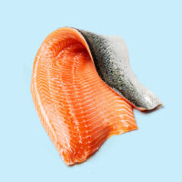 Fresh Salmon Fillet Isolated on a light blue background