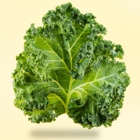 Kale leaf close-up on a bright background.