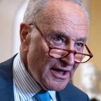 chuck schumer mike johnson politics political politicians