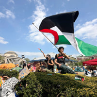 A demonstrator waves a flag