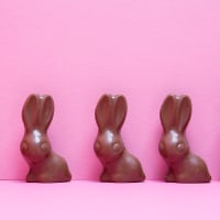 Chocolate bunnies in a row on pink background.