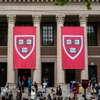 Harvard.