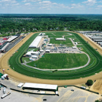 Preakness Preview