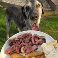 Texas Roadhouse fulfills customer’s special request — his dog’s last meal