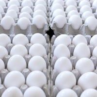 Cartons of chicken eggs at the supermarket.