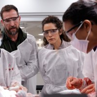 Season 2 of "The Pitt."