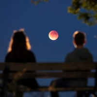 Total lunar eclipse - Leipzig