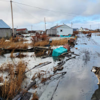 The source, Kathleen Simon, told SNG she filmed them from around her home in Tuntutuliak, located in the Bethel Census Area of western Alaska, on Monday 13th October.