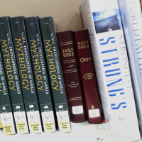 Bibles on library shelf