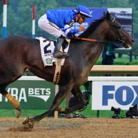 Jun 7, 2025; Saratoga, NY, USA;  Sovereignty (2) with Junior Alvarado up wins the Belmont Stakes at Saratoga Race Course. Mandatory Credit: Gregory Fisher-Imagn Images