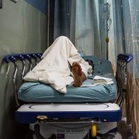 A patient rests in a corridor waiting for a room.