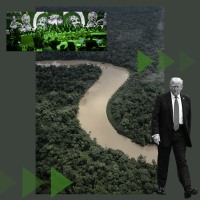 A photo illustration that includes a photo from COP30, a photo of the Amazon region and a photo of Donald Trump.