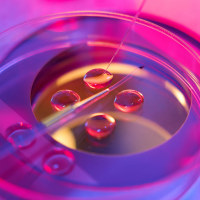 Biotechnological ICSI procedure in a modern laboratory