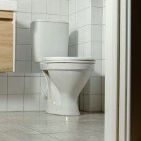A home toilet.