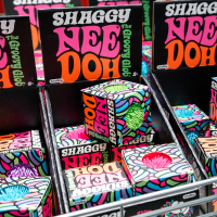 Neon lettering on several display boxes reads SHAGGY NEEDOH THE GROOVY GLOB.