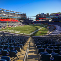 Arizona Cardinals v New England Patriots