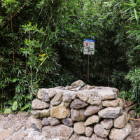 Hawaii Doctor Arrested