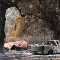 A burned landscape with ash on the ground and a destroyed truck in the foreground.