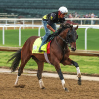 152nd Kentucky Derby - Previews