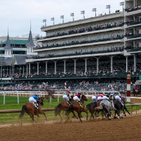 Overall view of race track.