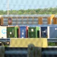 US Cargo Train Car Deaths