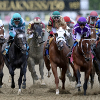 A tight group of racehorses and jockeys race toward the camera on a dirt track.