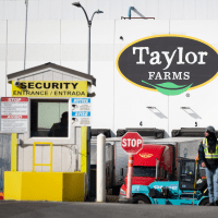 Cyclosporiasis Outbreak Traced To Iceberg Lettuce From Produce Giant Taylor Farms