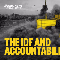 Video Investigation: How the Israeli military responds to allegations of abuses in Gaza
