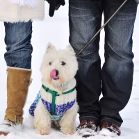 Young couple together outdoors in the snow.
