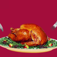 Illustration of turkey and hands