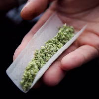 A person prepares a marijuana cigarette.