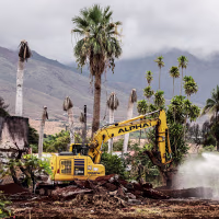 Image: Maui Prepares For 1 Year Anniversary Of Deadly Widlfires