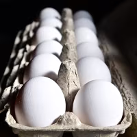 A resurgence of avian flu, which first struck the United States in 2022, is hitting chicken farms hard, sending egg prices soaring and rattling consumers accustomed to buying this dietary staple for only a few dollars.